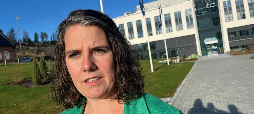 Så ingen framtid for butikken – gikk inn i våpenindustrien