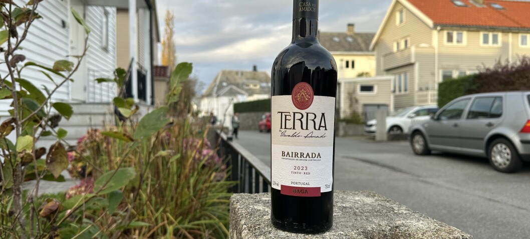 Burgundersk fra Etna