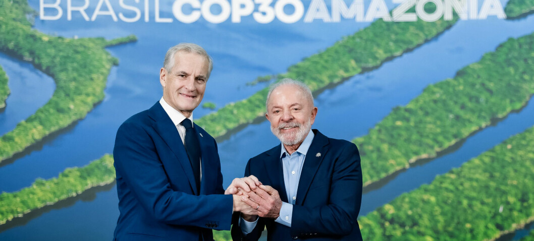 Regjeringen vil gi opptil 30 milliarder i regnskog-lån