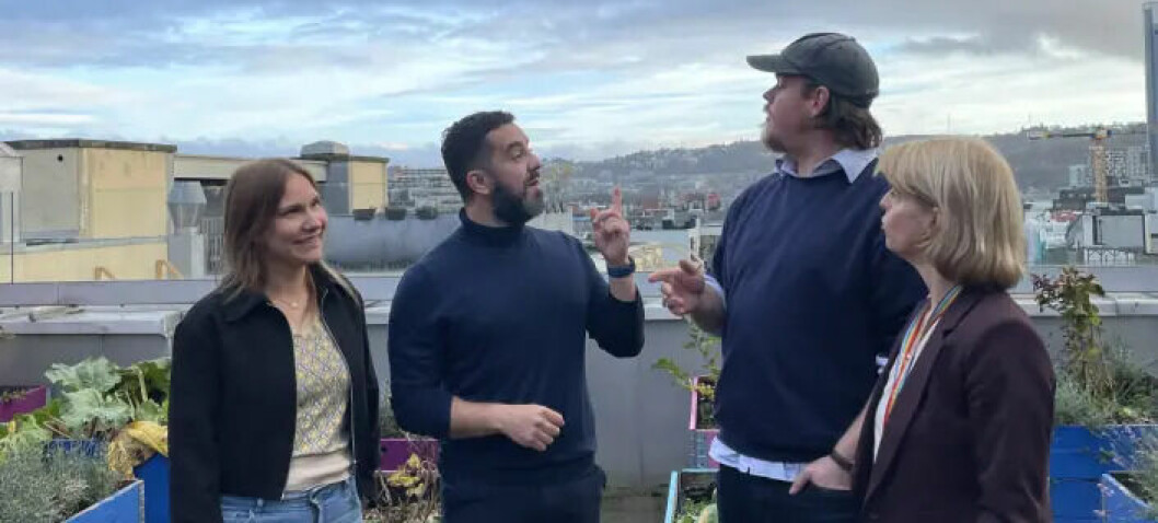 Dagsavisen: De skal hjelpe unge voldsutøvere Artikkel