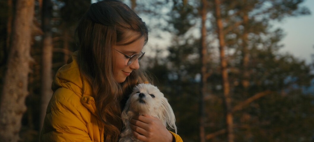 Traumeterapi for de minste