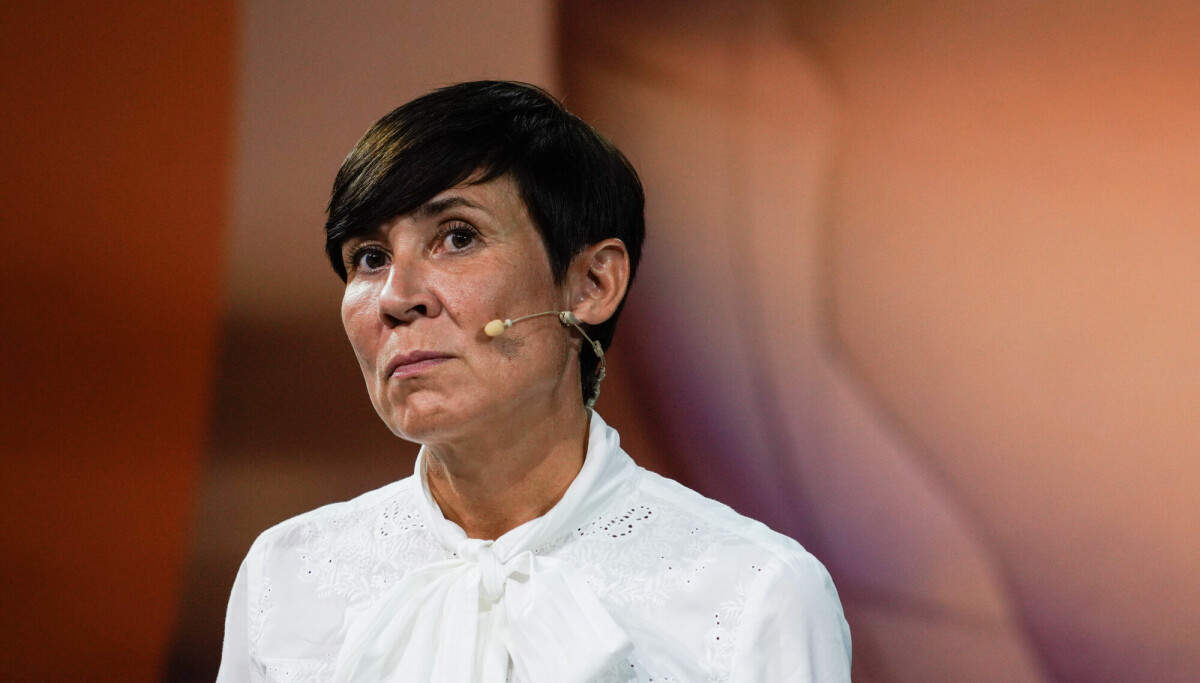 Søreide: UD kunne undersøkt Rød-Larsen-tankesmie mer