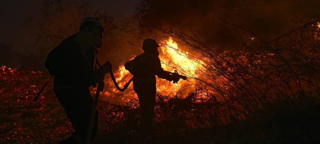 – Forakt for vitenskap