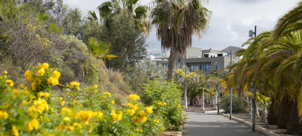 Flere ble skadet eller syke i utlandet i årets vinterferie