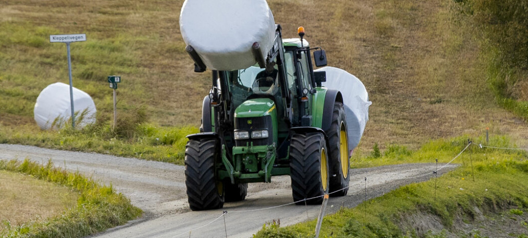 Ingen «ungdomsboom» i landbruket allikevel