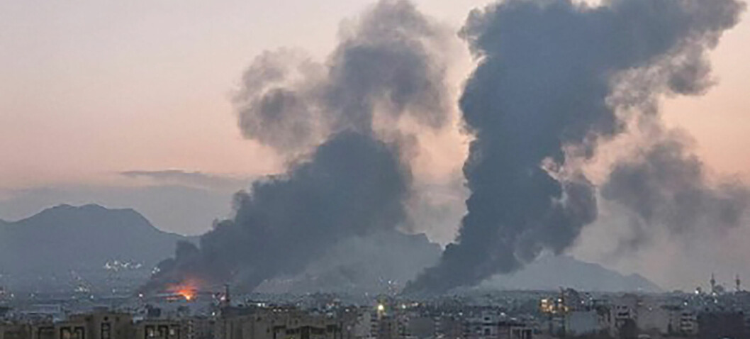 Hvor mange skatter vil overleve det som nå skjer?