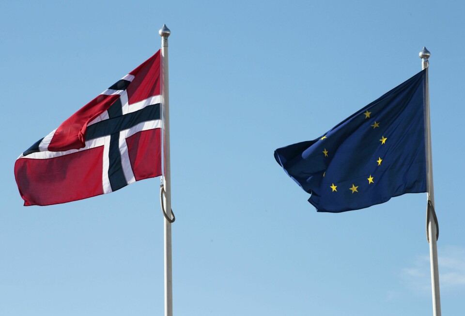 Den langsiktige trenden er at ja-siden sakte, men sikkert går fram, og at ja-siden breier seg ut politisk, sier Europabevegelsens generalsekretær, Fredrik Mellem. Den norske oppslutningen om EU-medlemskap er høyere enn på over ti år, men fortsatt er det et klart flertall mot, ifølge en ny måling. Foto: Lise Åserud / NTB