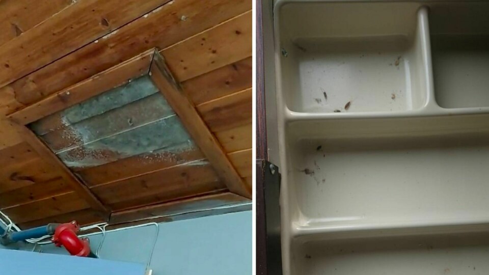Da flyktningene ankom Hvalsmoen i helgen var det muggsopp flere steder, og kre i bestikkskuffen på kjøkkenet. flyktningmottak Hvalsmoen