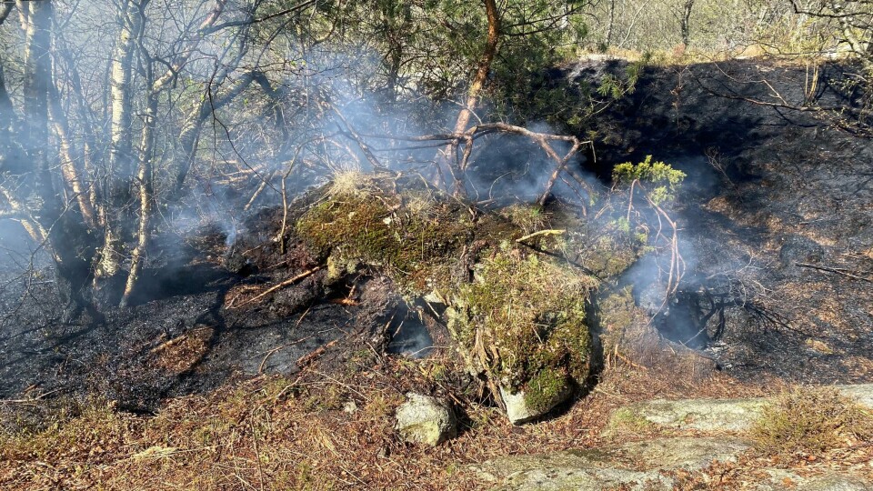 1,5 mål med skog ble svidd da det brant i skogen ved Kviebakken på Gausel 22. april i fjor. Fra 15. april gil 15. september er det bålforbud i hele landet. 1,5 mål med skog ble svidd da det brant i skogen ved Kviebakken på Gausel fredag ettermiddag.