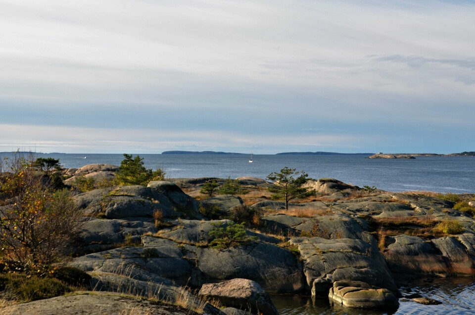 «Forvaltningen av sjøområder og strandsonen er av like stor viktighet som områder på land.»
