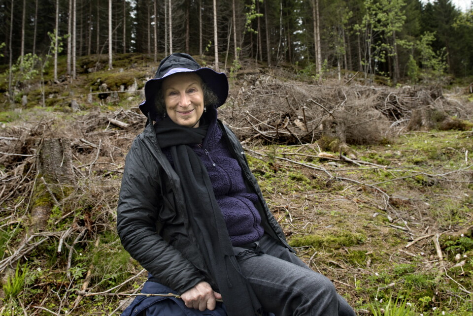 Nobel-favoritt Margaret Atwood, her på tur i Nordmarka i 2015, ved lanseringen av kunst-/litteraturprosjektet Future Library Margaret Atwood i Nordmarka. Kanadisk forfatter, litteraturkritiker, essayist og miljøaktivist. Framtidsbiblioteket. Den prisbelønte forfatteren, poeten og litteraturkritiker Margaret Atwood (CA) er den første forfatteren som bidrar med en ny tekst til kunstverket Framtidsbiblioteket (Future Library). Katie Paterson står bak kunstverket.