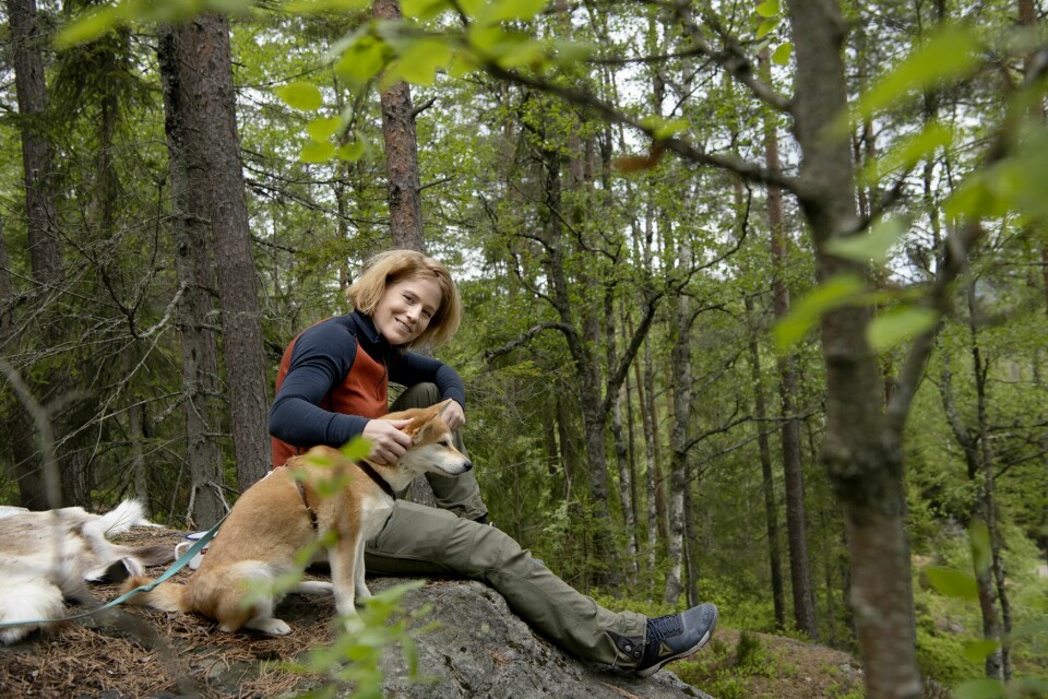 Johanne S. Refseth i Bærumsmarka. Forfatter av boka 'Psykolog med sovepose', om hvordan uteliv styrker indre liv. Johanne S. Refseth. Forfatter av boka Psykolog med sovepose – Hvordan uteliv styrker indre liv. Bærumsmarka.