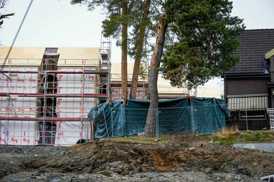 Illustrasjonsfoto. Oslo 20220413. Åtte boliger blir bygget i en gammel eplehage og på tomta til et revet hus på Ullern i Oslo.Foto: Lise Åserud / NTB