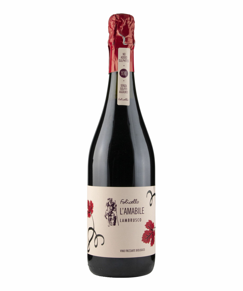 Lambrusco Folicello l'Amabile Lambrusco 2020, kr 154,90. Foto: Produsenten VIN: Lambrusco Folicello l'Amabile Lambrusco 2020, kr 154,90. Foto: Produsenten