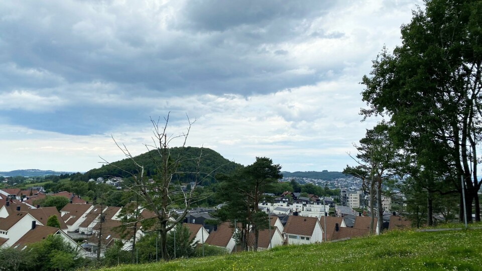 Boligmarkedet på Nord-Jæren sank fem prosent i juli, men har hittil i år gått opp 6,5 prosent. Tapsandelen på boligsalg er 38,8 prosent i Stavanger og 34,7 prosent i Sandnes.