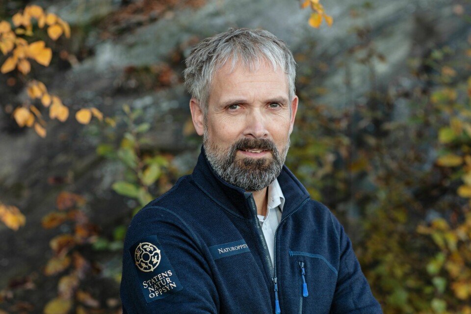 – Det er ikke tvil om at det er spisse fronter. Spesielt er det som skjer på sosiale medier bekymringsfullt, sier Morten Kjørstad, direktør i Statens naturoppsyn (SNO). – Det er ikke tvil om at det er spisse fronter. Spesielt er det som skjer på sosiale medier bekymringsfullt, sier Morten Kjørstad, direktør i Statens naturoppsyn (SNO).