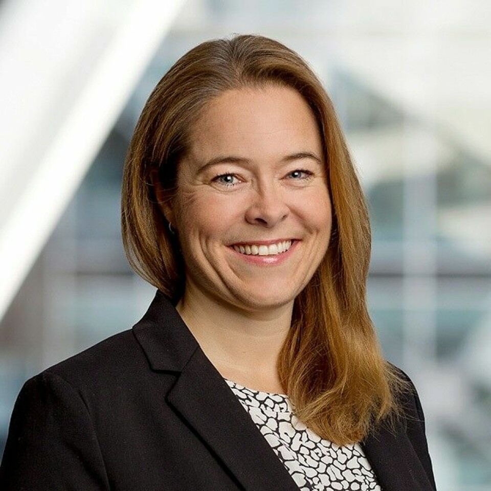 Hanne Pernille Gulbrandsen, partner i Deloitte Advokatfirma AS. Hanne Pernille Gulbrandsen, partner i Deloitte Advokatfirma AS.