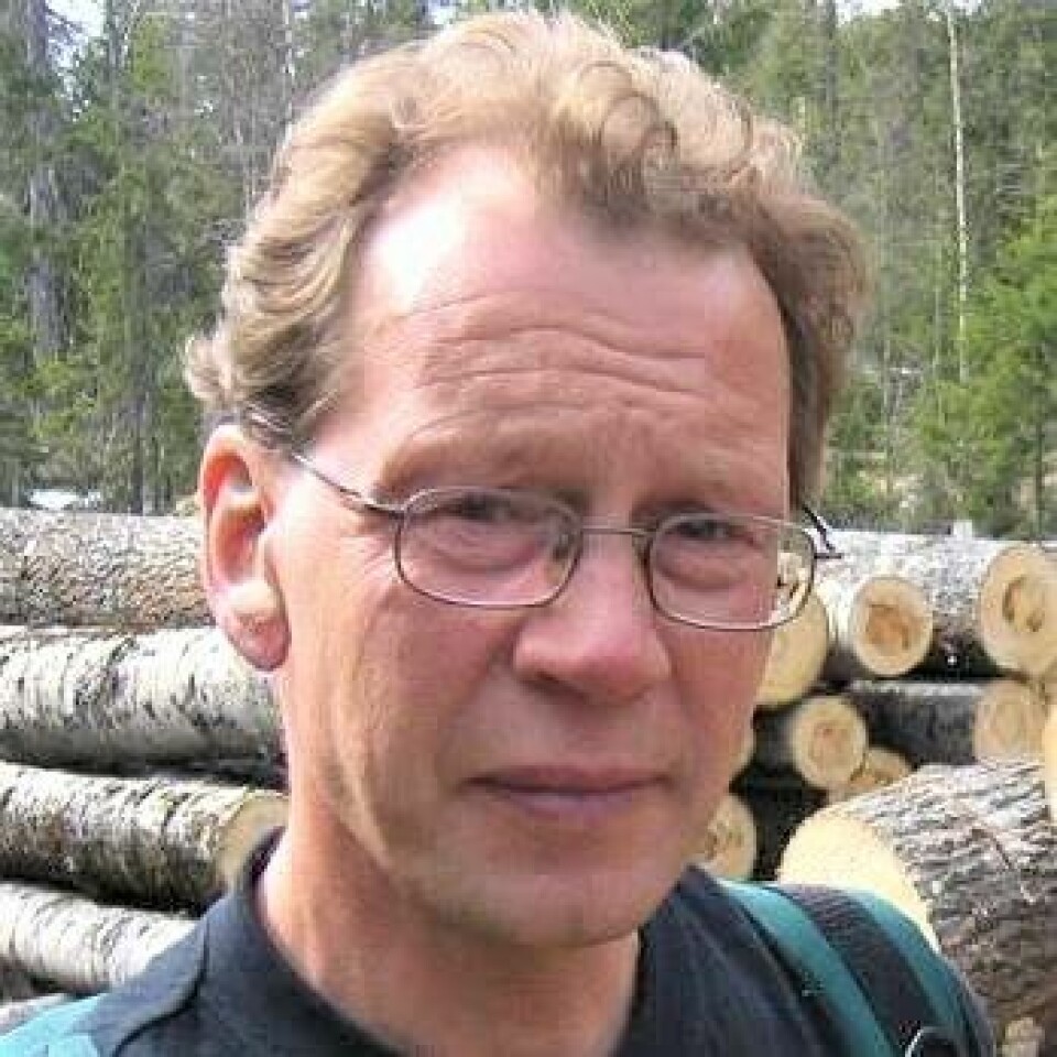 Gjermund Andersen, leder av skogutvalget i Naturvernforbundet. Gjermund Andersen.