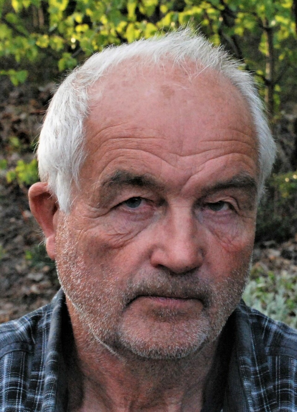 Martin Lindal, leder Naturvernforbundet i Buskerud, medlem av skogutvalget Martin Lindal