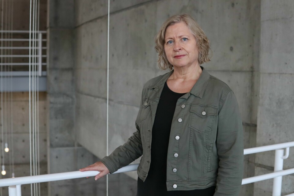 Marta Johanne Gjengedal, divisjonsdirektør i Skatteetaten. Marta Johanne Gjengedal, divisjonsdirektør i Skatteetaten.