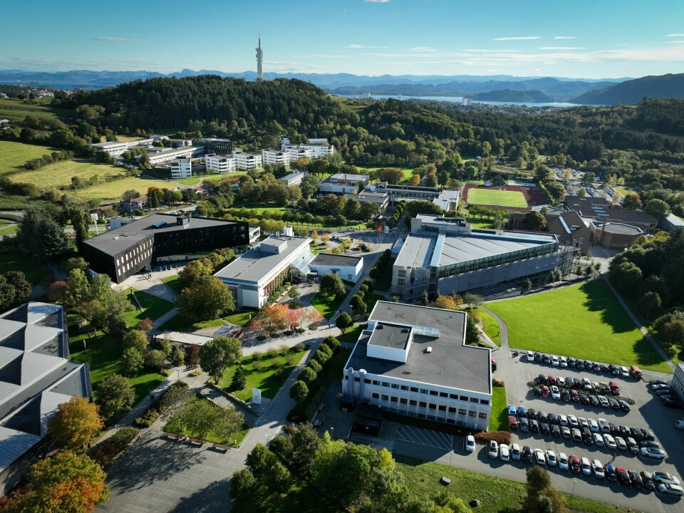 Universitetet i Stavanger merker en betydelig nedgang i søkertallene blant utenlandske studenter som rammes av den nye studieavgiften – Universitetet i Stavanger tilbyr et bredt antall utdanninger som er nyskapende, relevante for arbeidslivet med internasjonal aktualitet, sier Susanna King.