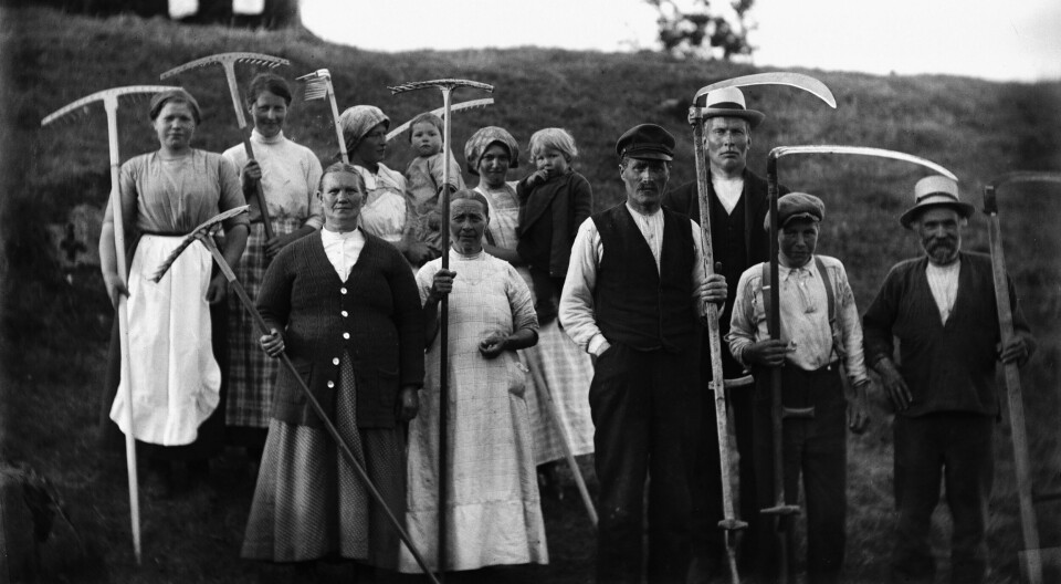 HØYONN, UKJENT STED 1910–25: I Sørkedalen måtte alle være med på slåtten og skuronna på godseierens gårder. På midten av 1800-tallet er det 65.000 husmenn i Norge. Fra da av minker antallet. FOTO: HANS RENER BRUUN/OSLO MUSEUM HØYONN, UKJENT STED 1910–25: I Sørkedalen måtte alle være med på slåtten og skuronna på godseierens gårder. På midten av 1800-tallet er det 65.000 husmenn i Norge. Fra da av minker antallet. FOTO: HANS RENER BRUUN/OSLO MUSEUM