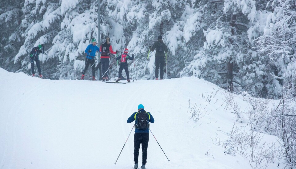 Kom deg ut på ski mens du ennå kan, til uka blir det varmegrader og regn. Kom deg ut på ski mens du ennå kan, til uka blir det varmegrader og regn.