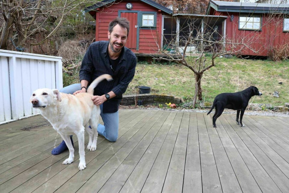 Iván Rodrigo og blandingshundene Noa og Asha har funnet en passeløsning som er perfekt for dem. Iván Rodrigo sammen med Noa og Asha i hagen.