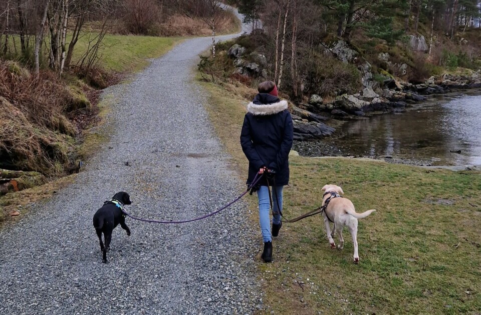 Janine Wallrabe på tur med hundene. Janine Wallrabe på tur med hundene.
