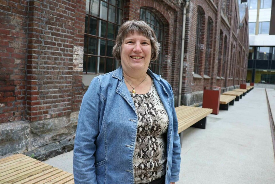 Tamsy Meany låner ut både bolig og katter når hun drar på ferie. Tamsy Meany låner ut både bolig og katter når hun drar på ferie.