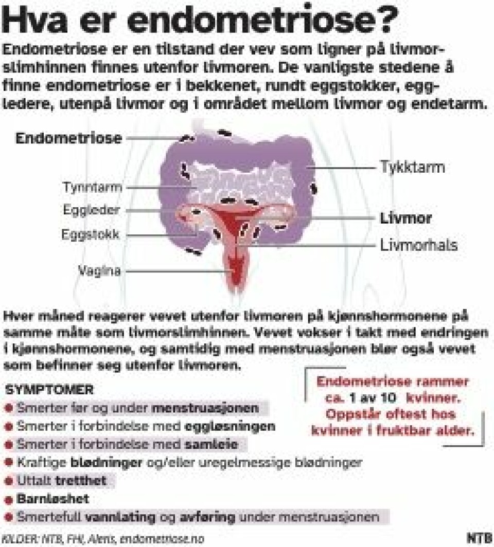 Grafikk. Grafikk.