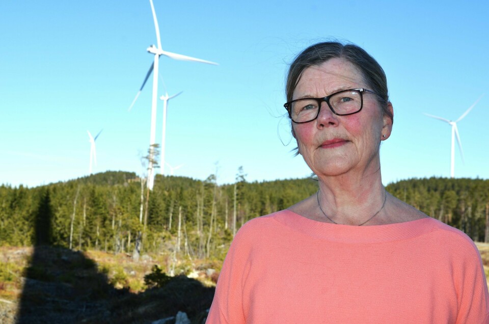 Vindkraftutbyggingen i Norge gjør at Kristin Brath frykter for demokratiet. Nå leder hun Motvind Østfold. Vindkraftutbyggingen i Norge gjør at Kristin Brath frykter demokratiet. Nå leder hun Motvind Østfold.