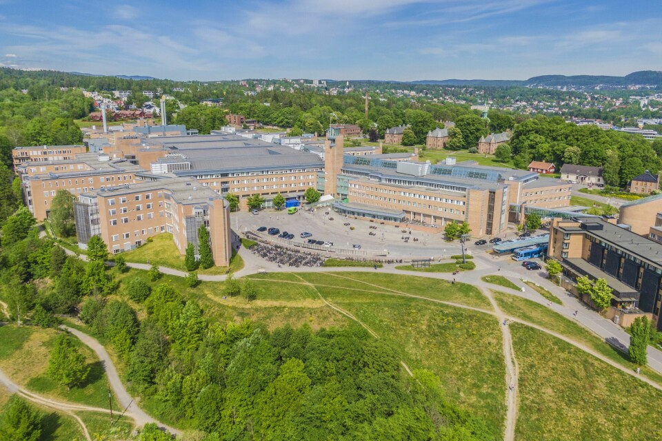 Innleggsforfatterne er svært kritiske til planene om utvidelse av Rikshospitalet på Gaustad. Det nye sykehuset skal stå ferdig i 2031, og samle regionale og nasjonale funksjoner, samtidig som det skal være et lokalsykehustilbud til om lag 200.000 innbyggere i Oslo. Rikshospitalet og Gaustad sykehus i Oslo.