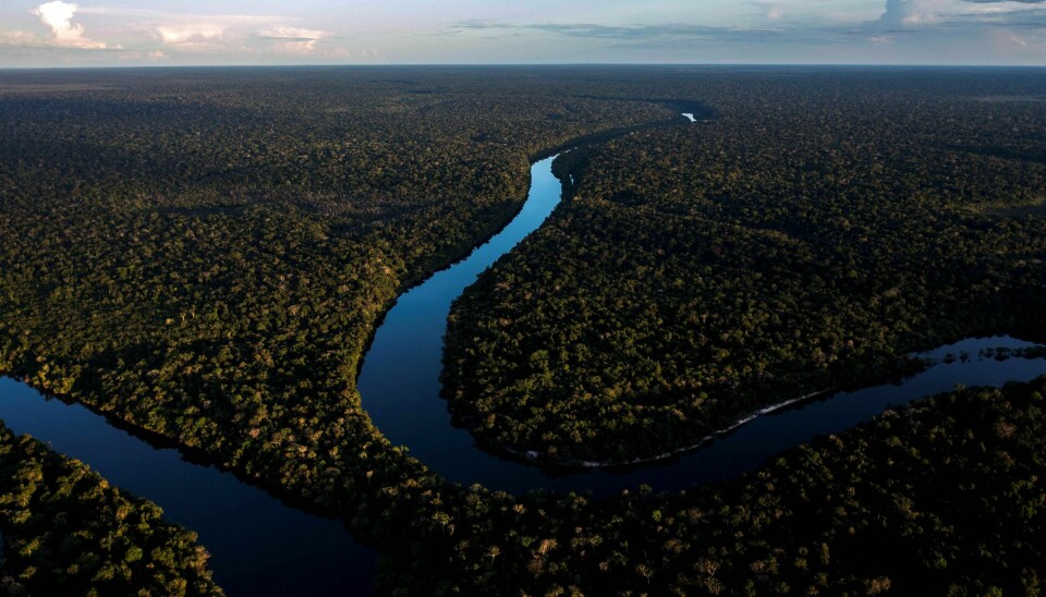 Oversiktsbilde av Amazonas-skogen. (FILES) In this file photo taken on June 07, 2022 A drone view of the Manicore river, deep inside the Amazonia rainforest, Amazonas state, Brazil, on June 7, 2022. - Earth is hotter than it has been in 125,000 years, but deadly heatwaves, storms and floods amplified by global warming could be but a foretaste as planet-heating fossil fuels put a 'liveable' future at risk.o concludes the UN Intergovernmental Panel on Climate Change (IPCC), which has started a week-long meeting to distill six landmark reports totalling 10,000 pages prepared by more than 1,000 scientists over the last six years. (Photo by MAURO PIMENTEL / AFP)