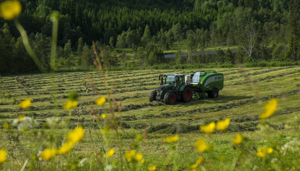 Bøndene krever en inntektsvekst på 171.300 kroner. Staten tilbyr 91.000 kroner. I høst gikk staten med på å kompensere bøndene med nærmere 754 millioner kroner for dyrere gjødsel og andre varer. I sitt alternative budsjett har SV droppet kompensasjonen. Foto: Vidar Ruud / NTB