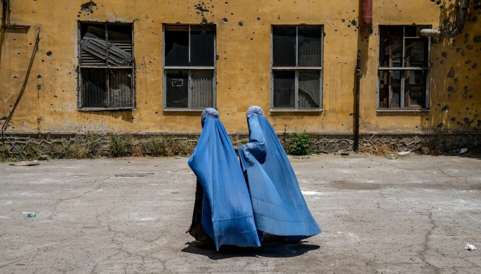 Taliban forbyr jenter å gå mer enn seks år på skole i Afghanistan, og har også innført en rekke andre forbud i det offentlige rom for jenter og kvinner. Nå åpner de imidlertid for å la kvinner jobbe for utenlandske hjelpeorganisasjoner som Flyktninghjelpen igjen. Taliban forbyr jenter å gå mer enn seks år på skole i Afghanistan, og har også innført en rekke andre forbud i det offentlige rom for jenter og kvinner. Nå åpner de imidlertid for å la kvinner jobbe for utenlandske hjelpeorganisasjoner som Flyktninghjelpen igjen. Foto: AP / NTB