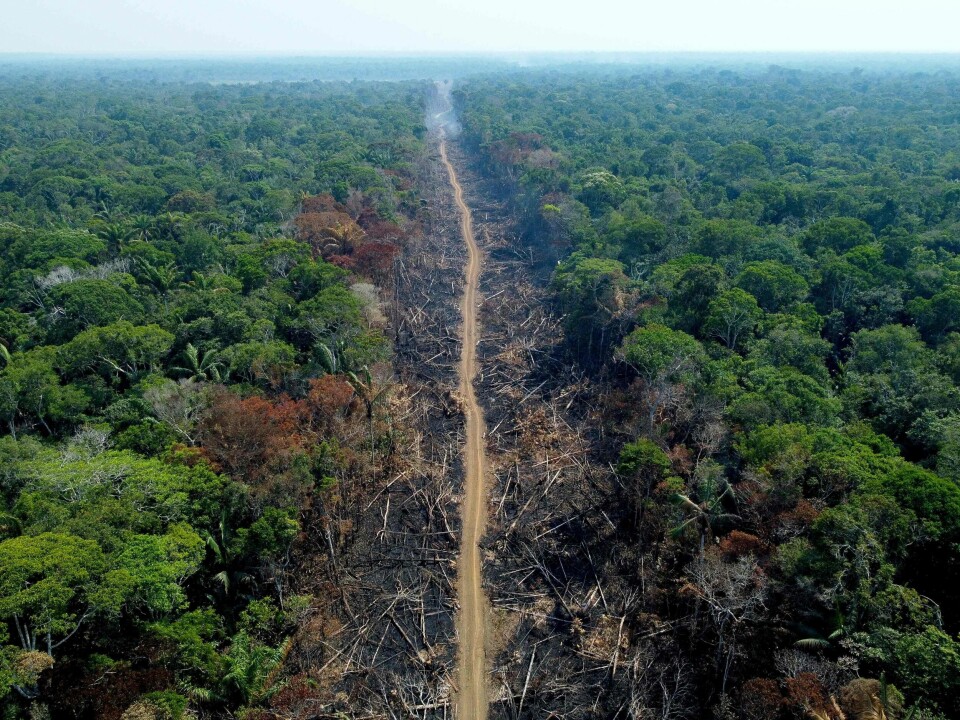Flyfoto av Amazonas fra september 2022 viser store områder med avskoging. Flyfoto av Amazonas fra september 2022, viser store områder med avskoging.