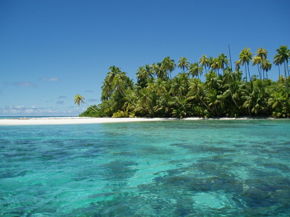 Salomon-atollen er en liten atoll fra Chagos-øygruppen. Salomon-atollen er en liten atoll fra Chagos-øygruppen.