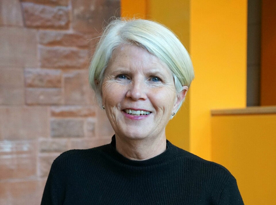 Kanskje må vi alle lære oss mer om døden. Og kanskje må vi bygge opp mer mot, slik at vi kan stille opp når noen vi kjenner skal dø, skriver Lisbeth Thoresen. Lisbeth Thoresen, førsteamanuensis ved Universitetet i Oslo.