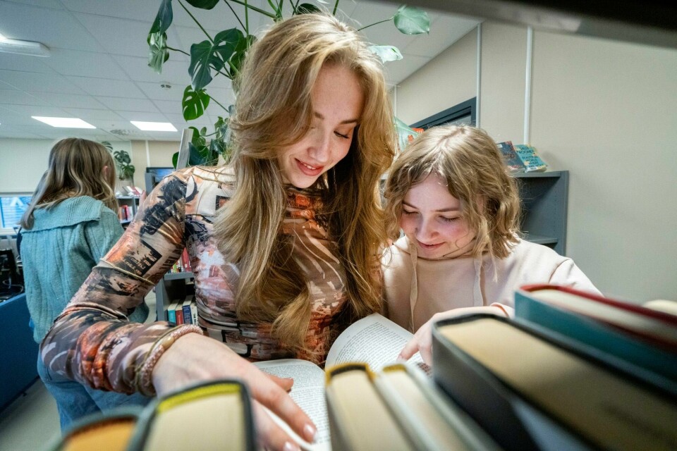 Illustrasjonsfoto. Skoleelever på skolens bibliotek.
