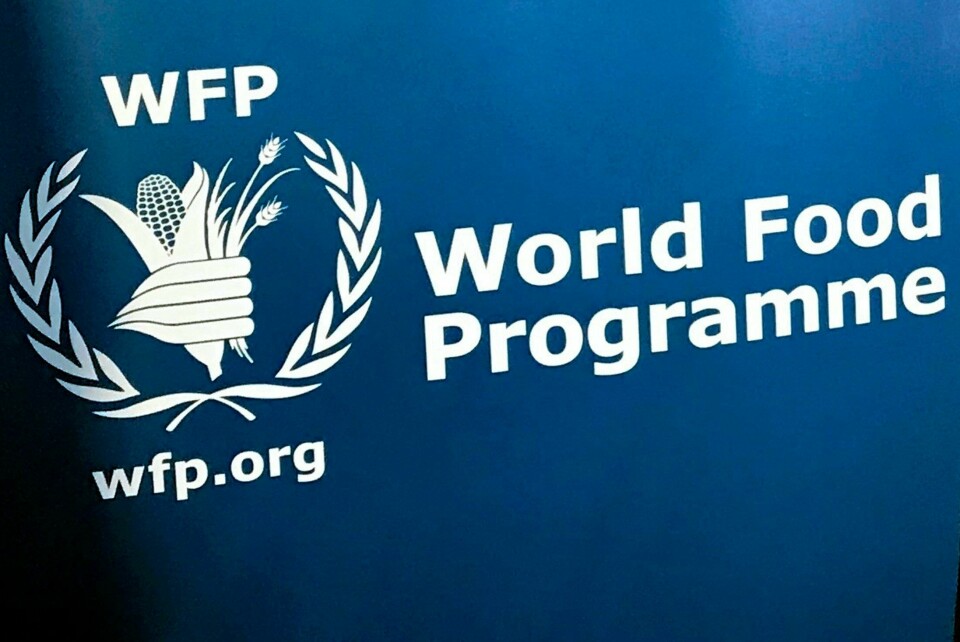 Tre FN-ansatte i Verdens matvareprogram (WFP) er drept i et luftangrep i Sudan, opplyser organisasjonen. Illustrasjonsfoto. Tre FN-ansatte i Verdens matvareprogram (WFP) er drept i et luftangrep i Sudan, opplyser organisasjonen. Illustrasjonsfoto: Robert Bumstead / AP / NTB