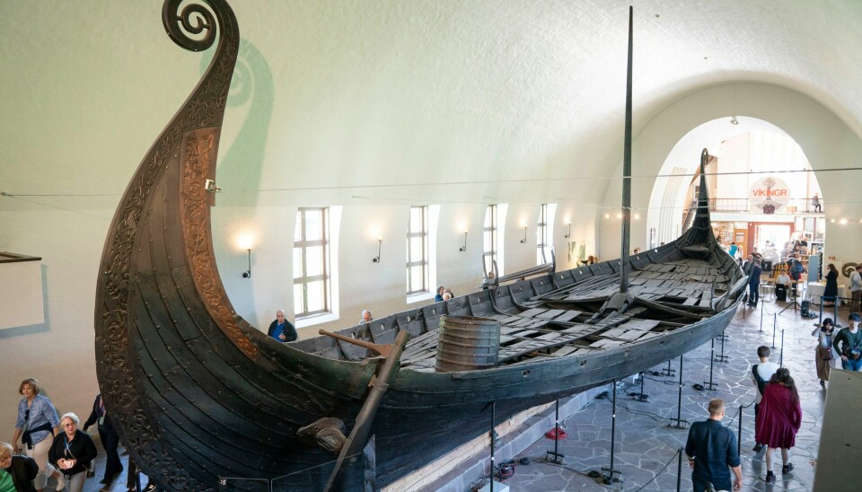 Vikingskipsmuseet skal utvides til det nye vikingtidsmuseet, som blir tre ganger så stort. Her er Osebergskipet, som ble bygget på 800-tallet. Regjeringen vedtok i 2019 å starte bygging av nytt Vikingtidsmuseum på Bygdøy. Fredag stenger det for ombygging, og åpnes igjen først i 2025. Foto: Håkon Mosvold Larsen / NTB