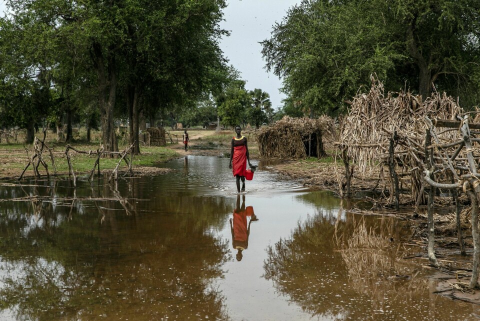Sør-Sudan ble i mai 2021 rammet av den verste flommen på 60 år. Hundretusener ble rammet, og mange er ennå fordrevet fra hjemmet sitt. En kvinne går gjennom et oversvømt område ved landsbyen Majak Awar i Sør-Sudan i oktober 2021.