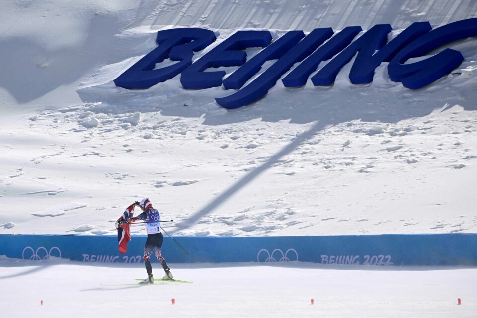 Therese Johaug får et norsk flagg 300 meter før mål og prøver å få kontroll på det i vindkastene. Det var vrient. Hennes eneste problem på den avsluttende tremila. Therese Johaug får et norsk flagg 300 meter før mål og prøver å få kontroll på det i vindkastene. Det var vrient. Hennes eneste problem på den avsluttende tremila.
