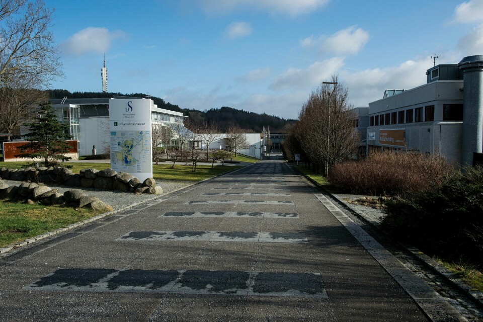 Søkertallene for UiS er klare. Paramedisin og toll topper topp ti-listen over de mest populære studiene. En student ved Universitetet i Stavanger deltok fredag i fysisk undervisning. Så fikk studenten påvist koronasmitte. Foto: Carina Johansen / NTB