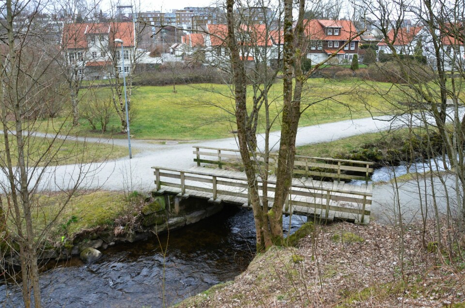 Mannen ble funnet her ved denne broen i Sandvedparken i Sandnes søndag formiddag. Mannen ble funnet her ved denne broen i Sandvedparken i Sandnes søndag formiddag.