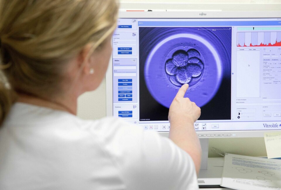EMBRYO: Vurdering av embryo ved bryk av Embryoscope. Fertilitetsseksjonen ved St. Olavs Hospital Universitetssykehuset i Trondheim utfører assistert befruktning. FOTO: GORM KALLESTAD/NTB SCANPIX