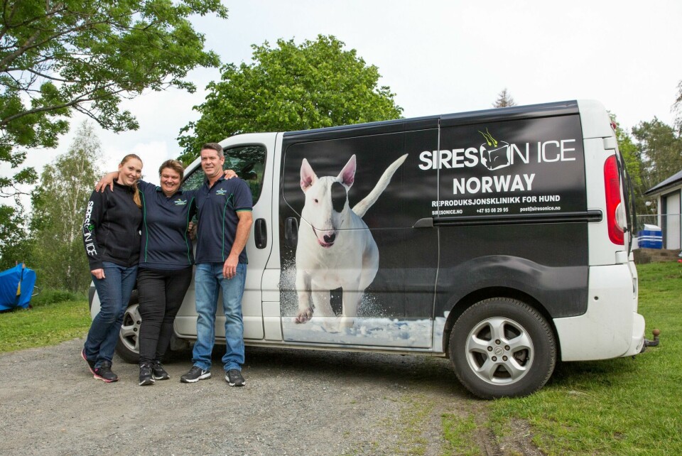 Sires on Ice Norway har også en mobil reproduksjonsklinikk, som de eneste i Norge, ifølge dem selv. Fra venstre: hundefysioterapeut Anja Gylder Corneliussen, semintekniker Mark Gavin og veterinær Trude Hegle. Sires on Ice Norway har også en mobil reproduksjonsklinikk, som de eneste i Norge, ifølge dem selv. Fra venstre: hundefysioterapeut Anja Gylder Corneliussen, semintekniker Mark Gavin og veterinær Trude Hegle.