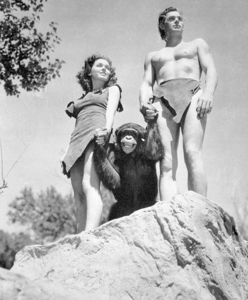 OL-svømmeren Johnny Weissmüller spilte Tarzan i de klassiske Hollywood-filmene fra 1930-tallet. Her med Maureen O'Sullivan som Jane og sjimpansen Skippy. OL-svømmeren Johnny Weissmüller spilte Tarzan i de klassiske Hollywood-filmene fra 1930-tallet. Her med Maureen O'Sullivan som Jane og sjimpansen Skippy.