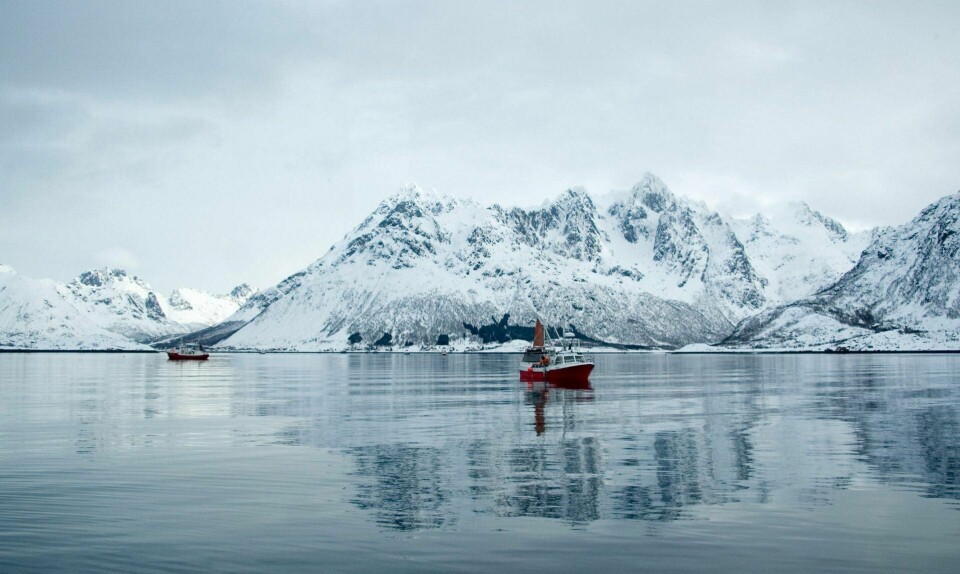 Det å gjøre Lofoten, Vesterålen og Senja til et marint verneområde vil ikke forhindre verken fiske eller turisme der, påpeker WWF Verdens naturfond.